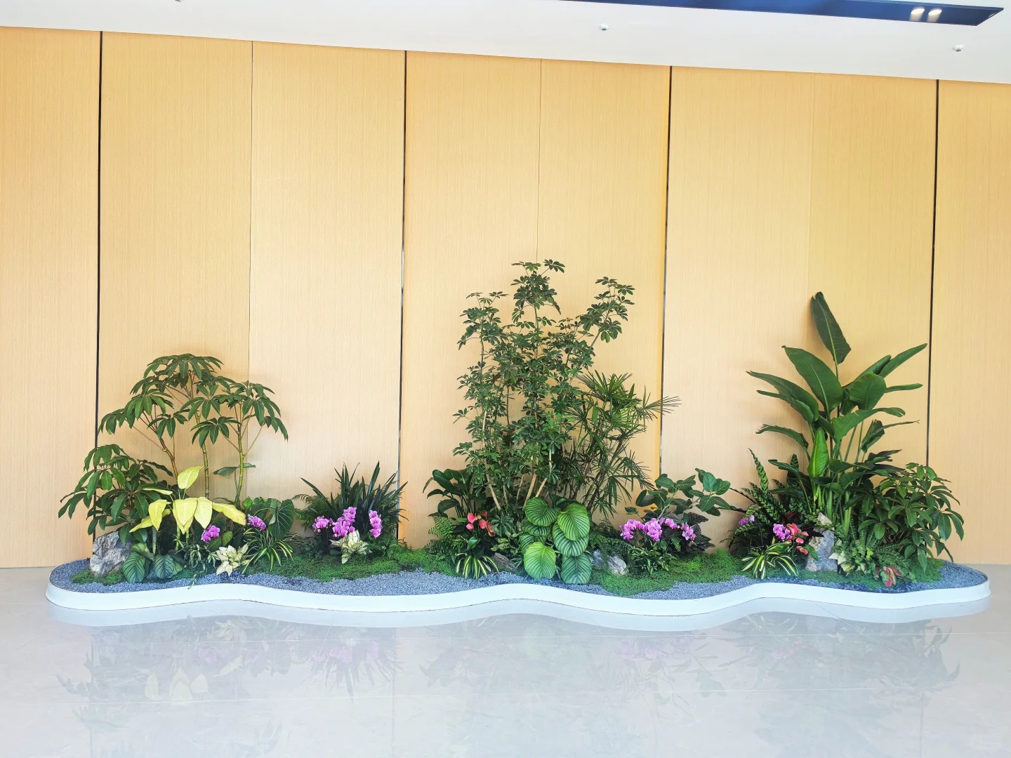 专业打造北仑植物租摆,营造舒适宜人氛围